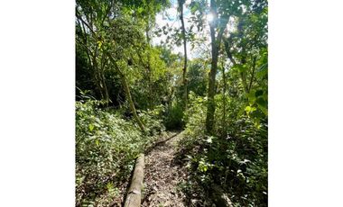 Hermosa finca para proyecto turístico