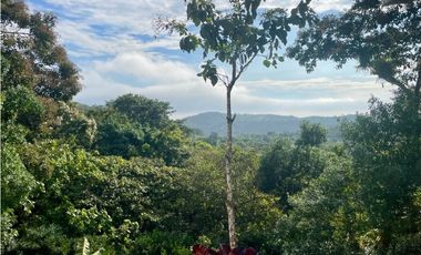 Hermosa finca para proyecto turístico