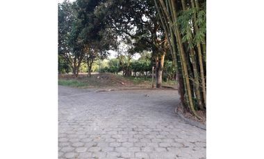 Finca cultivada con casa y pozo de agua dulce 7.5 has. Portoviejo