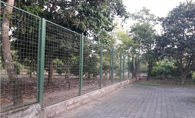 Finca cultivada con casa y pozo de agua dulce 7.5 has. Portoviejo