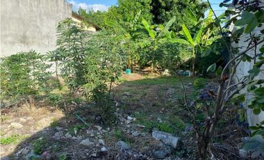 LOTE EN VENTA EN EL MORA MONTERA