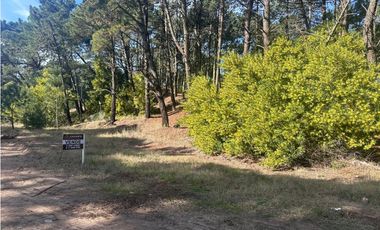 LOTE PINAMAR - ZONA ALAMOS MANZANA 241 LOTE 12