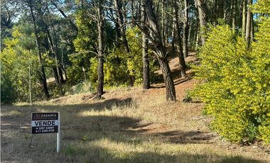 LOTE PINAMAR - ZONA ALAMOS MANZANA 241 LOTE 12