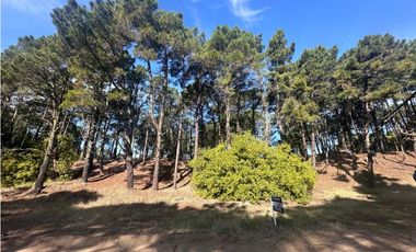 LOTE PINAMAR - ZONA ALAMOS MANZANA 241 LOTE 12