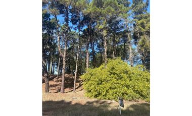 LOTE PINAMAR - ZONA ALAMOS MANZANA 241 LOTE 12