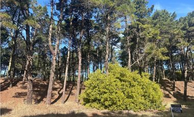 LOTE PINAMAR - ZONA ALAMOS MANZANA 241 LOTE 12
