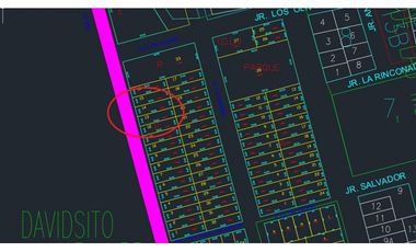EXCELENTE INVERSION - LOCAL COMERCIAL PUCALLPA