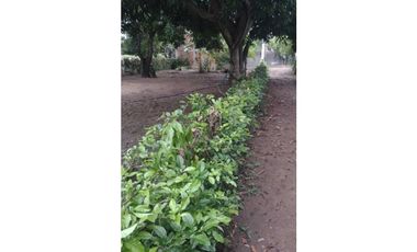 LOTE EN VENTA EN PUNTA BOLIVAR