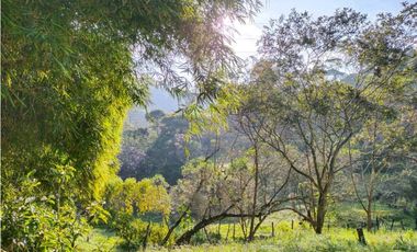 ACOGEDORA CASA INDEPENDIENTE EN CALDAS