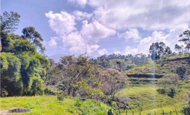 ACOGEDORA CASA INDEPENDIENTE EN CALDAS