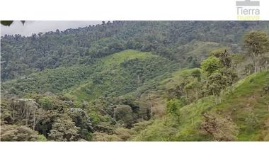 Se vende un paraíso de 70 hectáreas en el sector Magnolia!