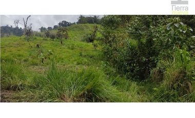 Se vende un paraíso de 70 hectáreas en el sector Magnolia!