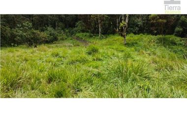 Se vende un paraíso de 70 hectáreas en el sector Magnolia!