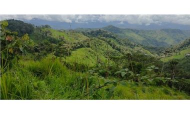 Se vende un paraíso de 70 hectáreas en el sector Magnolia!