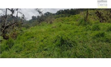 Se vende un paraíso de 70 hectáreas en el sector Magnolia!