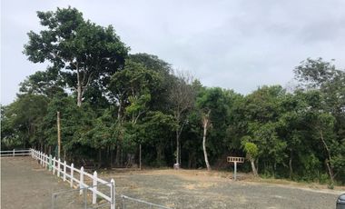 Hermosa Finca  Ecuestre 2.4 Hectareas con casa Campestre Ligüiqui