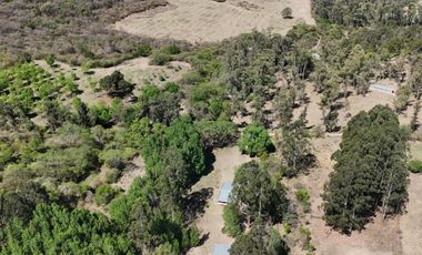 Chacra Venta 27 has. Venta c/4 Casas Taco Yana, San Pedro de Colalao, Tucuman