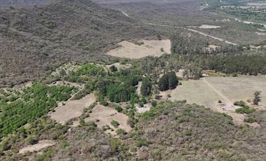 Chacra Venta 27 has. Venta c/4 Casas Taco Yana, San Pedro de Colalao, Tucuman