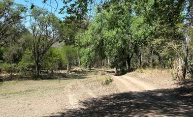 Chacra Venta 27 has. Venta c/4 Casas Taco Yana, San Pedro de Colalao, Tucuman