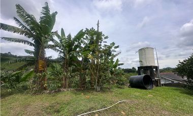 FINCA EN VENTA COMBIA PEREIRA - 3 CASAS