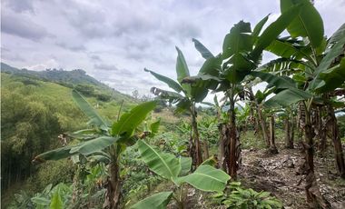 FINCA EN VENTA COMBIA PEREIRA - 3 CASAS