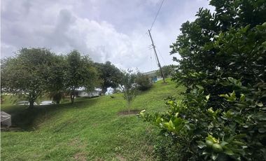 FINCA EN VENTA COMBIA PEREIRA - 3 CASAS