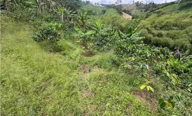 FINCA EN VENTA COMBIA PEREIRA - 3 CASAS