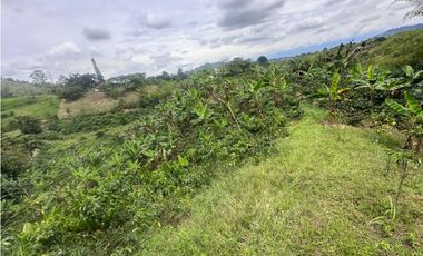 FINCA EN VENTA COMBIA PEREIRA - 3 CASAS