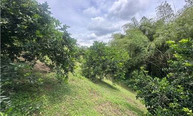 FINCA EN VENTA COMBIA PEREIRA - 3 CASAS