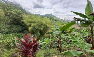 FINCA EN VENTA COMBIA PEREIRA - 3 CASAS