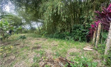 FINCA EN VENTA COMBIA PEREIRA - 3 CASAS