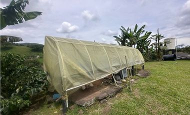 FINCA EN VENTA COMBIA PEREIRA - 3 CASAS