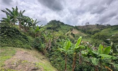 FINCA EN VENTA COMBIA PEREIRA - 3 CASAS