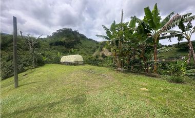 FINCA EN VENTA COMBIA PEREIRA - 3 CASAS