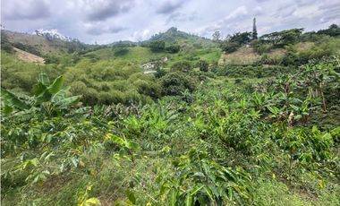 FINCA EN VENTA COMBIA PEREIRA - 3 CASAS