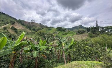 FINCA EN VENTA COMBIA PEREIRA - 3 CASAS