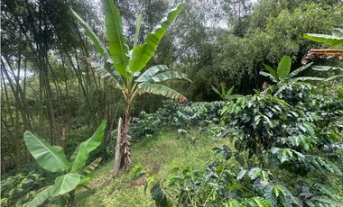 FINCA EN VENTA COMBIA PEREIRA - 3 CASAS