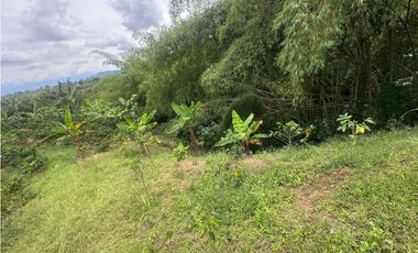 FINCA EN VENTA COMBIA PEREIRA - 3 CASAS