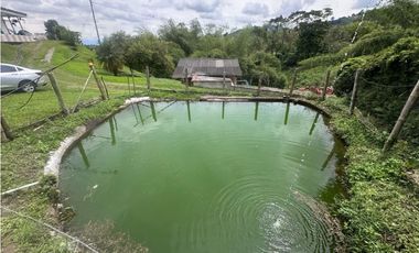 FINCA EN VENTA COMBIA PEREIRA - 3 CASAS