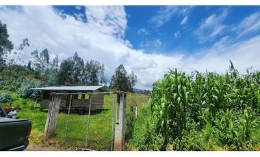 SITIO PLANO EN VENTA SECT SININCAY