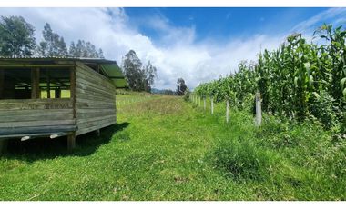 SITIO PLANO EN VENTA SECT SININCAY