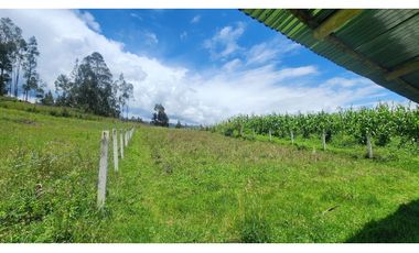 SITIO PLANO EN VENTA SECT SININCAY