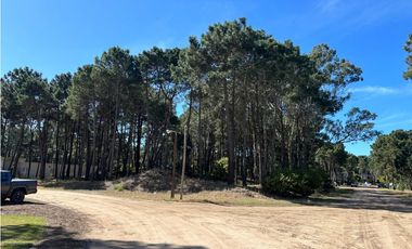 PINAMAR, ISLA DEL GOLF - LOTE 43  -EXCELENTE ENTORNO