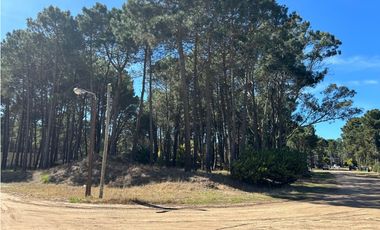 PINAMAR, ISLA DEL GOLF - LOTE 43  -EXCELENTE ENTORNO