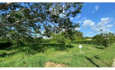 LOTE CAMPESTRE EN VENTA VIA MONTERIA PLANETA RICA