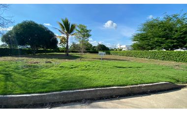 LOTE CAMPESTRE EN VENTA VIA MONTERIA PLANETA RICA
