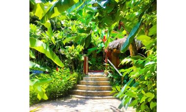 Hostal de 8 habitaciones en Ayampe