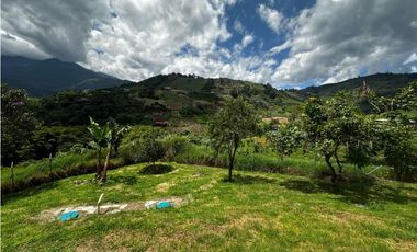 LOTE PLANO CON CABAÑA EN VENTA LA FLORIDA PEREIRA