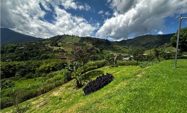 LOTE PLANO CON CABAÑA EN VENTA LA FLORIDA PEREIRA