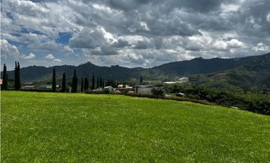 LOTE PLANO CON CABAÑA EN VENTA LA FLORIDA PEREIRA